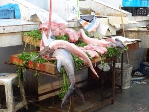 market fish