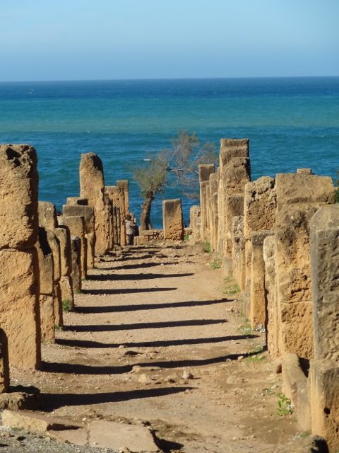tipaza