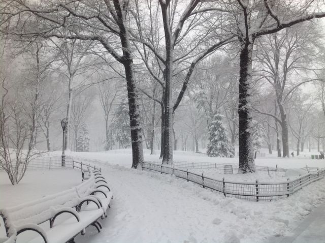 Snow in NY is much prettier when one is on vacation and does not have to walk to work through it!