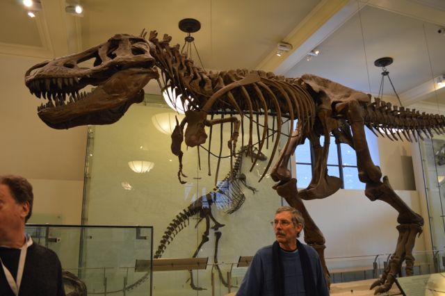 Dad and T-Rex