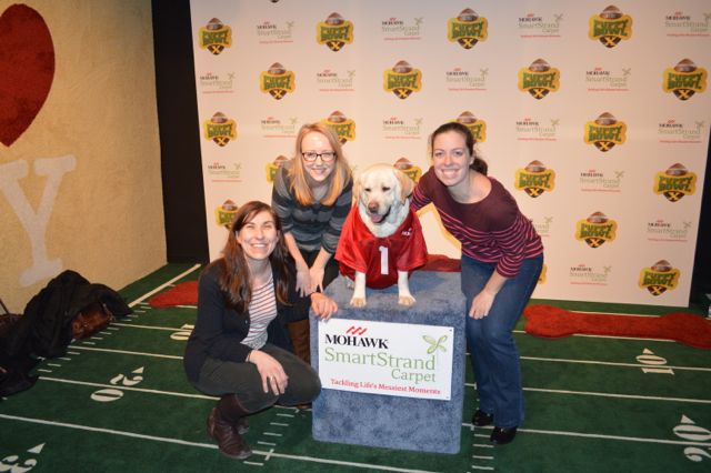 puppy bowl