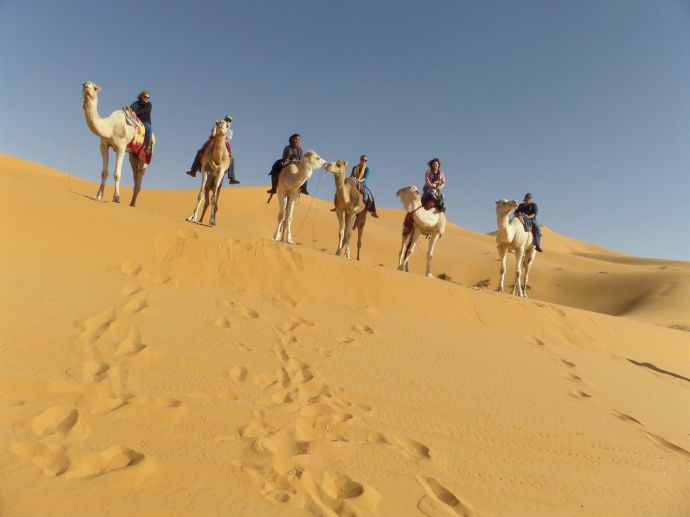 SAMSUNG CAMERA PICTURES