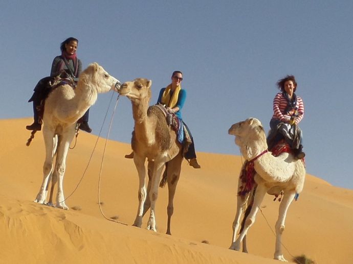 SAMSUNG CAMERA PICTURES